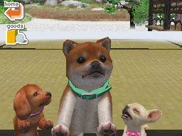Nintendogs: Teckel y Compañía - Imagen 26