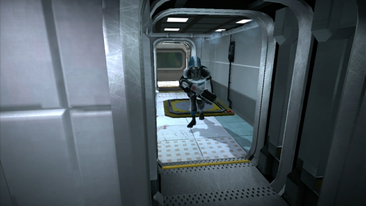 Warp